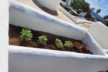 Fantastico Apartamento Con Terraza Y Vistas Al Mar Costa Teguise Zewnętrze zdjęcie